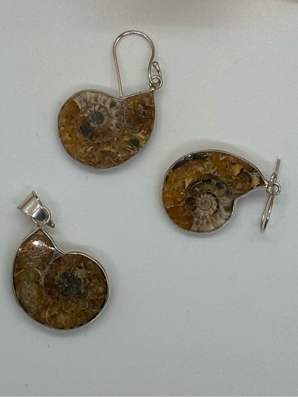 AMMONITE FOSSIL EARRING AND PENDANT SET